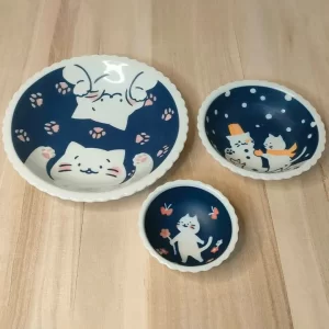 Mino Ware Kitty cat Meow plate set made in Japan
