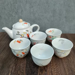 Mino ware Kyusu teapot set made in Japan